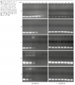 Thumbnail for version as of 13:28, 18 November 2011