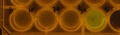 Thumbnail for version as of 09:50, 22 June 2014