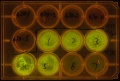 Thumbnail for version as of 16:30, 7 November 2011