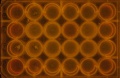 Thumbnail for version as of 11:22, 1 July 2016