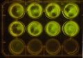 Thumbnail for version as of 13:44, 8 January 2012