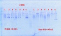 Thumbnail for version as of 14:33, 28 March 2014