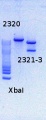 Thumbnail for version as of 12:33, 3 December 2014