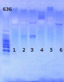 Thumbnail for version as of 11:49, 10 June 2013