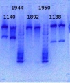 Thumbnail for version as of 14:59, 17 January 2014