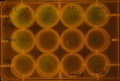 Thumbnail for version as of 10:42, 22 January 2014