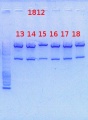 Thumbnail for version as of 13:29, 9 September 2013