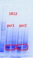 Thumbnail for version as of 14:41, 12 August 2013