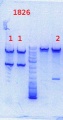 Thumbnail for version as of 14:23, 6 September 2013