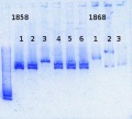 Thumbnail for version as of 13:24, 21 October 2013