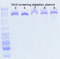 Thumbnail for version as of 14:33, 16 March 2015