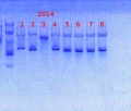 Thumbnail for version as of 08:59, 11 March 2014