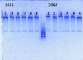 Thumbnail for version as of 17:42, 6 March 2014