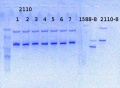 Thumbnail for version as of 11:38, 10 June 2014
