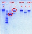 Thumbnail for version as of 14:12, 15 May 2012