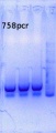 Thumbnail for version as of 13:48, 8 January 2015