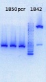 Thumbnail for version as of 14:44, 26 September 2013