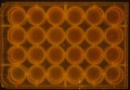 Thumbnail for version as of 15:01, 22 April 2016