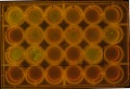 Thumbnail for version as of 08:50, 19 September 2014