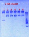 Thumbnail for version as of 13:51, 17 January 2013