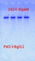Thumbnail for version as of 14:34, 27 February 2013