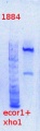 Thumbnail for version as of 11:19, 24 January 2014