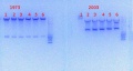 Thumbnail for version as of 10:14, 15 January 2014