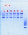 Thumbnail for version as of 15:01, 21 February 2014