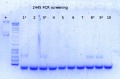 Thumbnail for version as of 17:33, 13 August 2015
