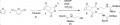 Thumbnail for version as of 14:00, 22 October 2012