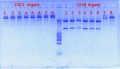Thumbnail for version as of 15:11, 6 April 2012