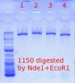 Thumbnail for version as of 15:12, 4 May 2012