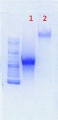 Thumbnail for version as of 17:13, 29 May 2012