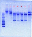 Thumbnail for version as of 10:38, 7 June 2012