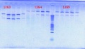 Thumbnail for version as of 11:34, 30 July 2012