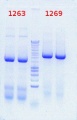 Thumbnail for version as of 09:01, 27 July 2012