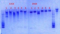Thumbnail for version as of 17:05, 2 January 2014