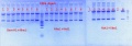 Thumbnail for version as of 15:45, 11 September 2012