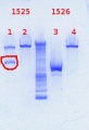 Thumbnail for version as of 16:32, 21 December 2012