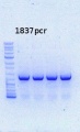 Thumbnail for version as of 15:10, 1 November 2013