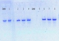 Thumbnail for version as of 09:51, 28 June 2016