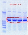 Thumbnail for version as of 11:22, 20 October 2011