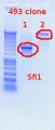 Thumbnail for version as of 15:11, 2 December 2011