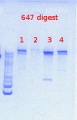 Thumbnail for version as of 13:30, 11 July 2013