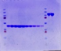 Thumbnail for version as of 17:32, 11 July 2012