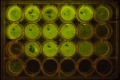 Thumbnail for version as of 12:11, 22 August 2014