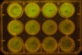 Thumbnail for version as of 11:55, 29 November 2011