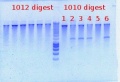 Thumbnail for version as of 10:35, 2 March 2012