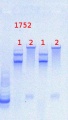 Thumbnail for version as of 13:57, 24 May 2013