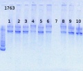 Thumbnail for version as of 15:22, 21 June 2013